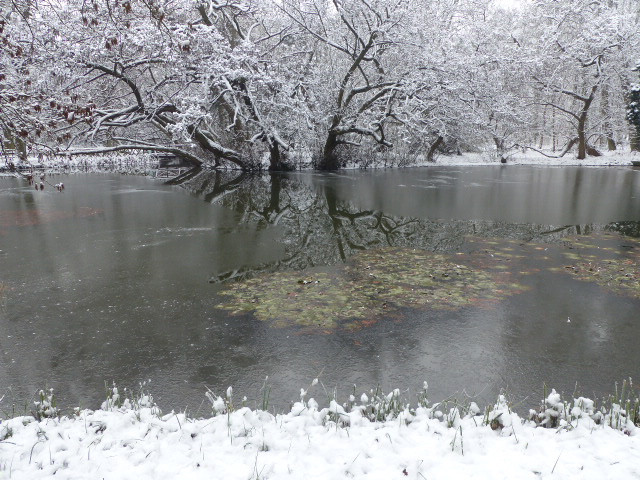 Vácrátót, az Arborétum, SzG3