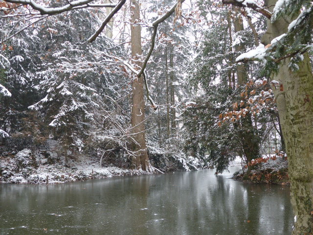 Vácrátót, az Arborétum, SzG3