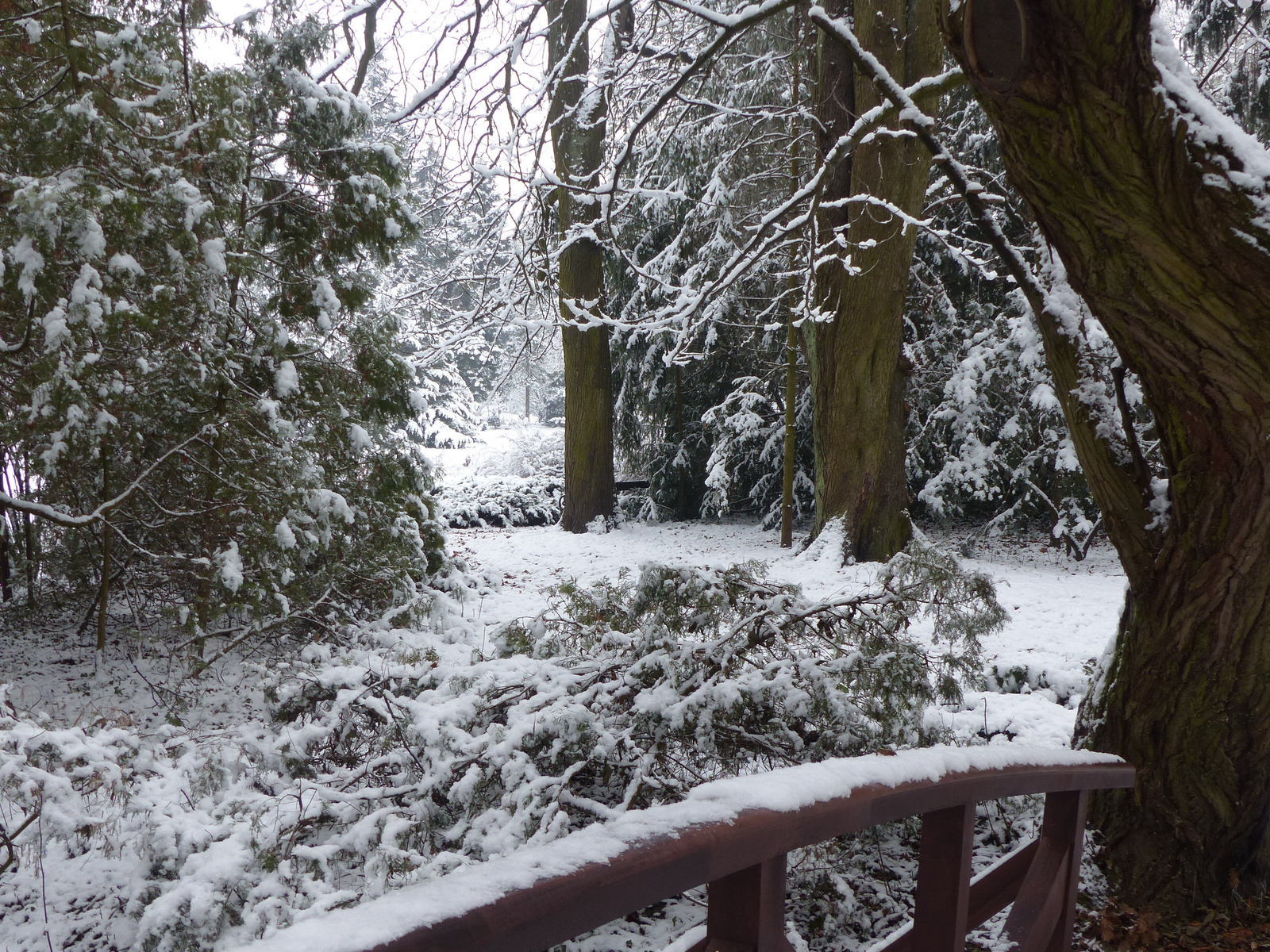 Vácrátót, az Arborétum, SzG3