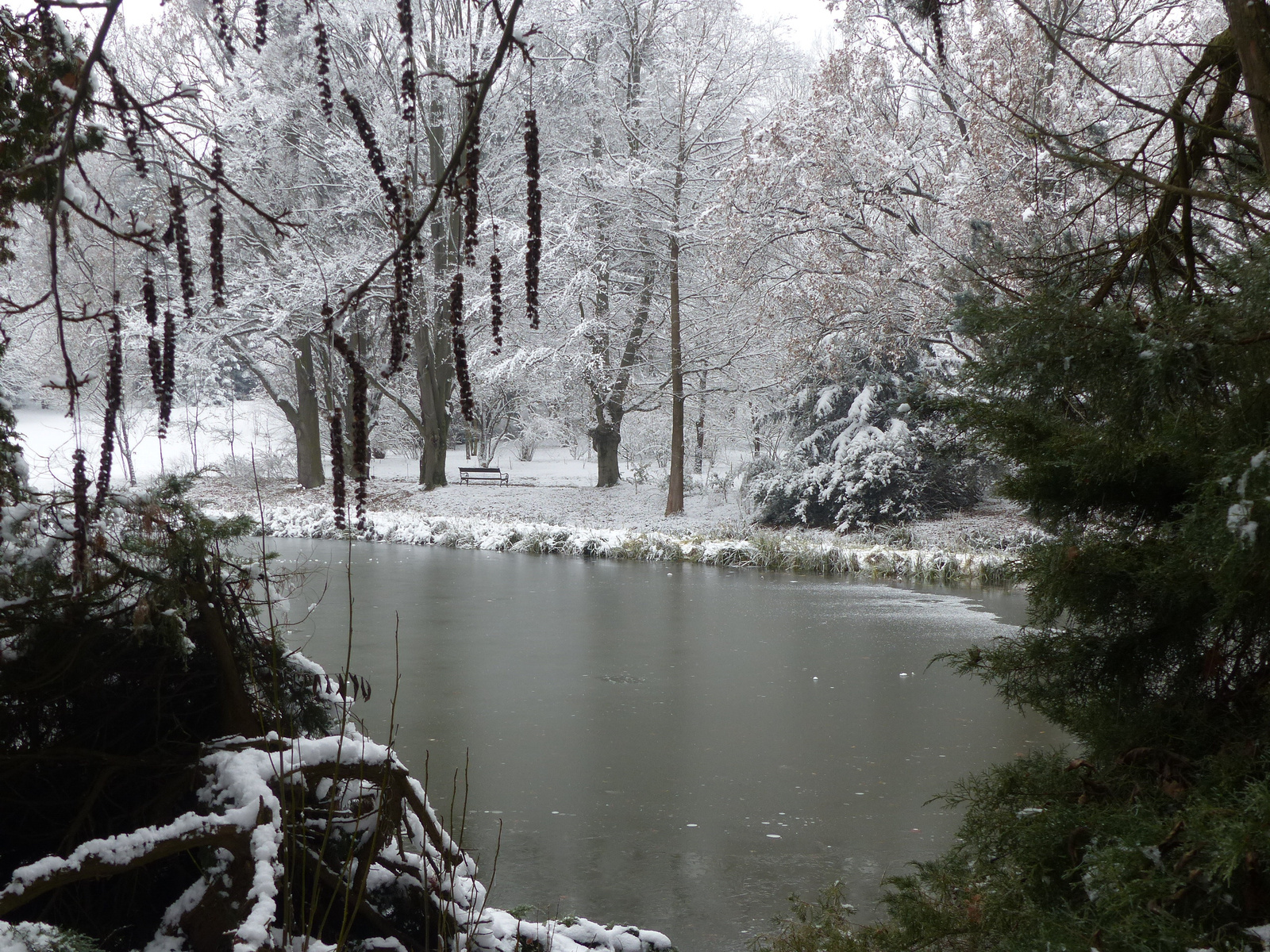 Vácrátót, az Arborétum, SzG3