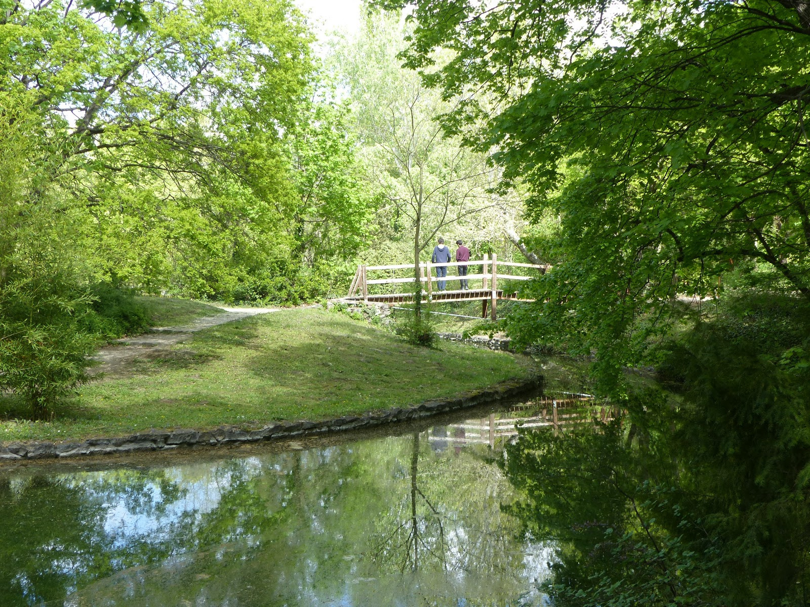 Tata, Angol Park, Angyal forrástó, SzG3