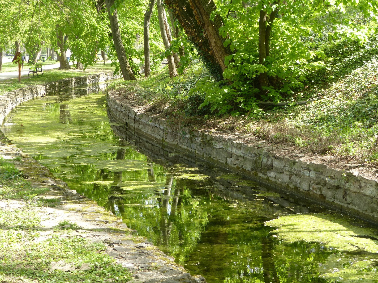 Tata, Cseke tó, Angol park, SzG3