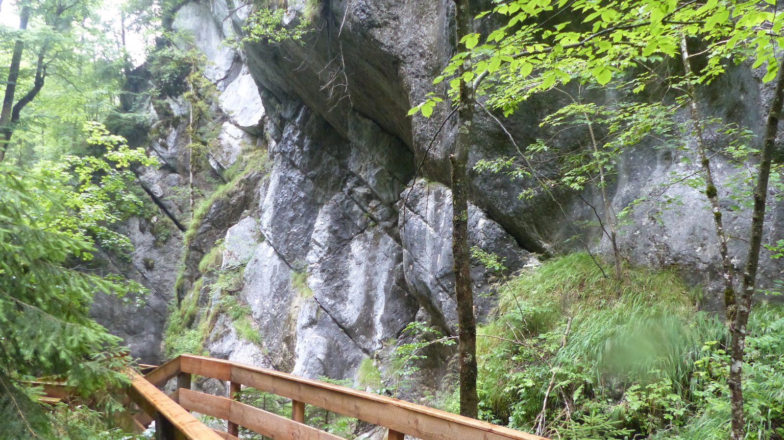 Weißbach bei Lofer, Seisenbergklamm, SzG3