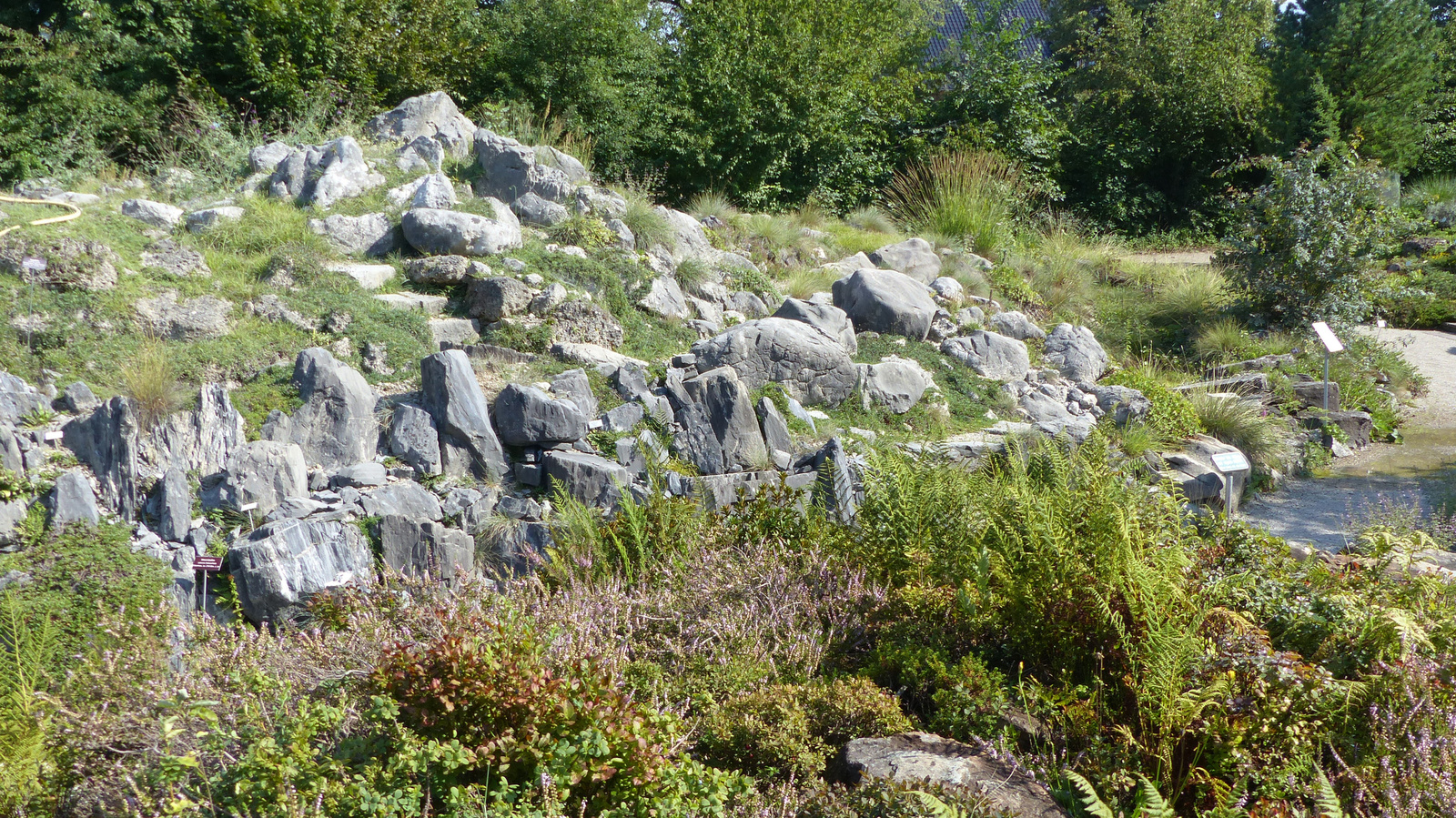 Salzburg, Botanikus kert, SzG3