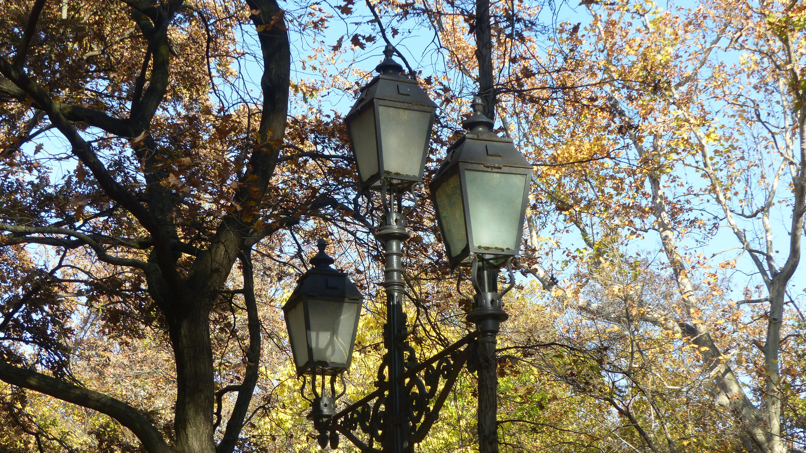 Budapest, a Városliget ősszel, SzG3