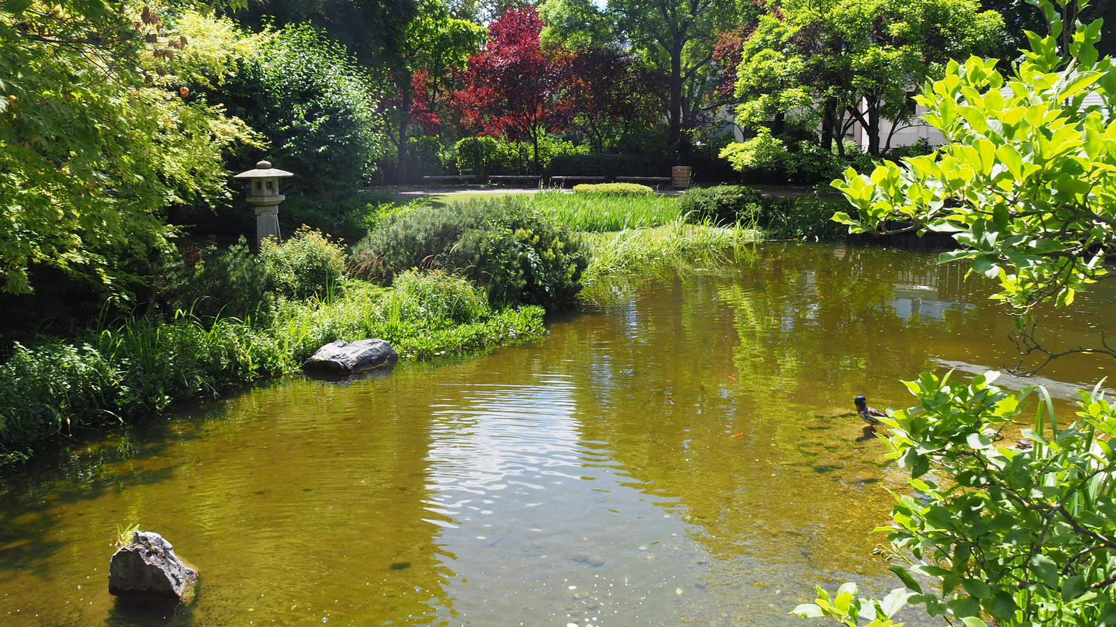 Bécs, Setagaya park, SzG3