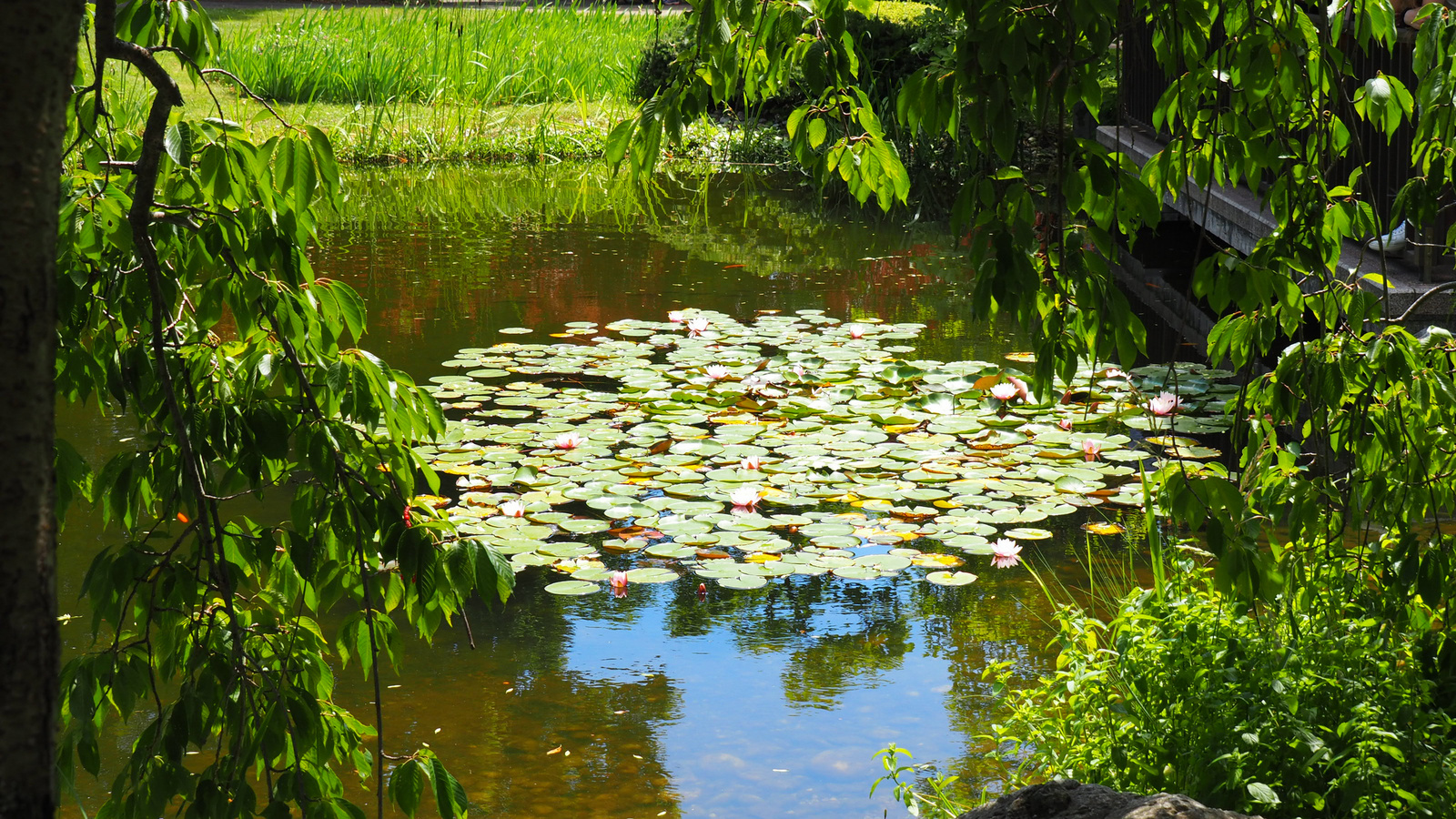 Bécs, Setagaya park, SzG3