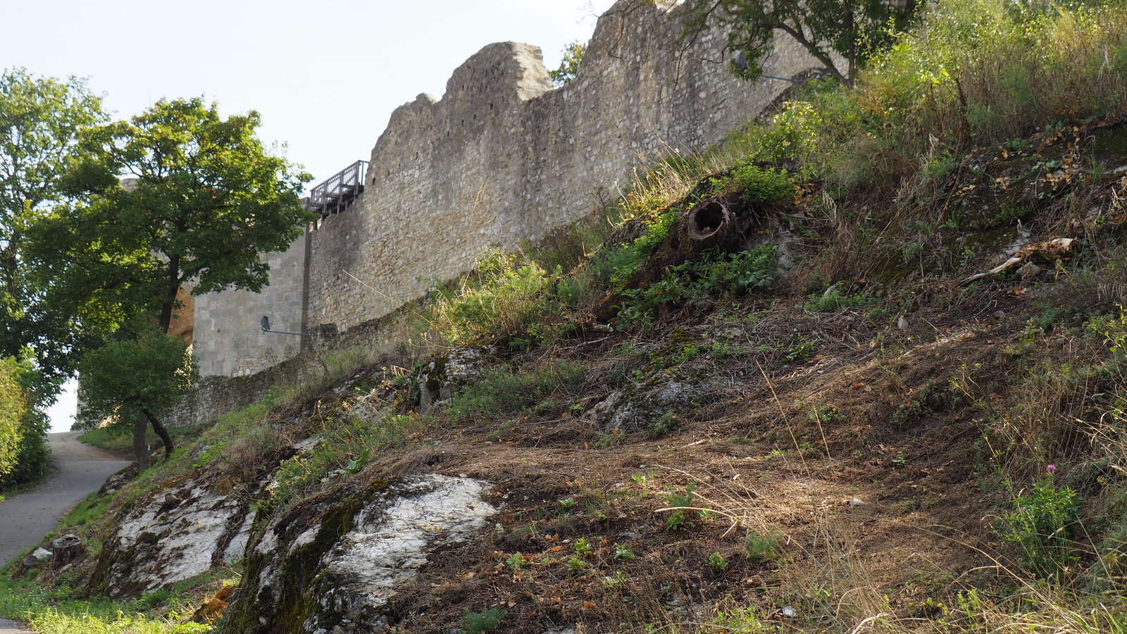 Ausztria, Burgruin Hainburg, SzG3