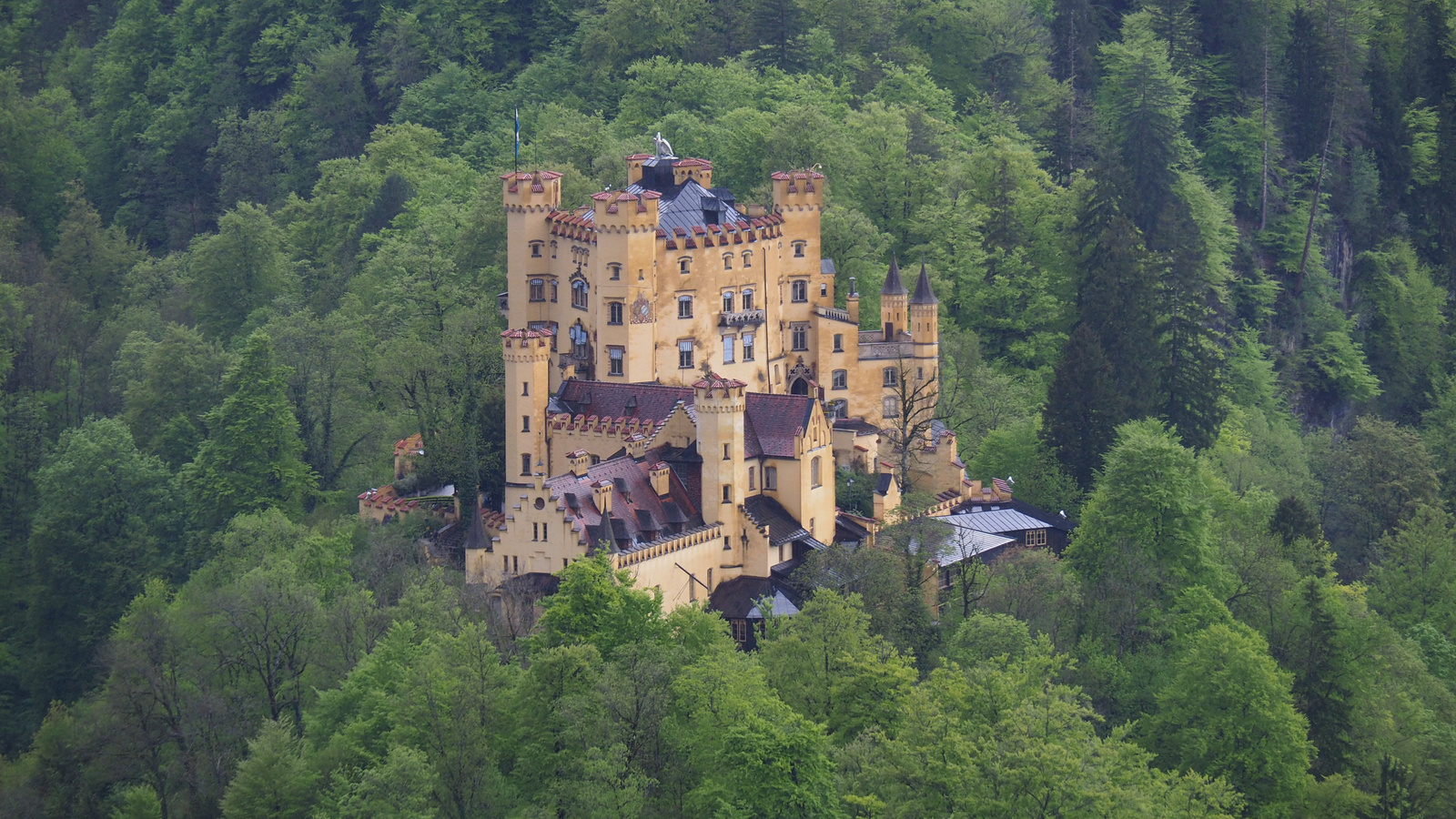 Schwangau, Schloss Hohenschwangau, SzG3