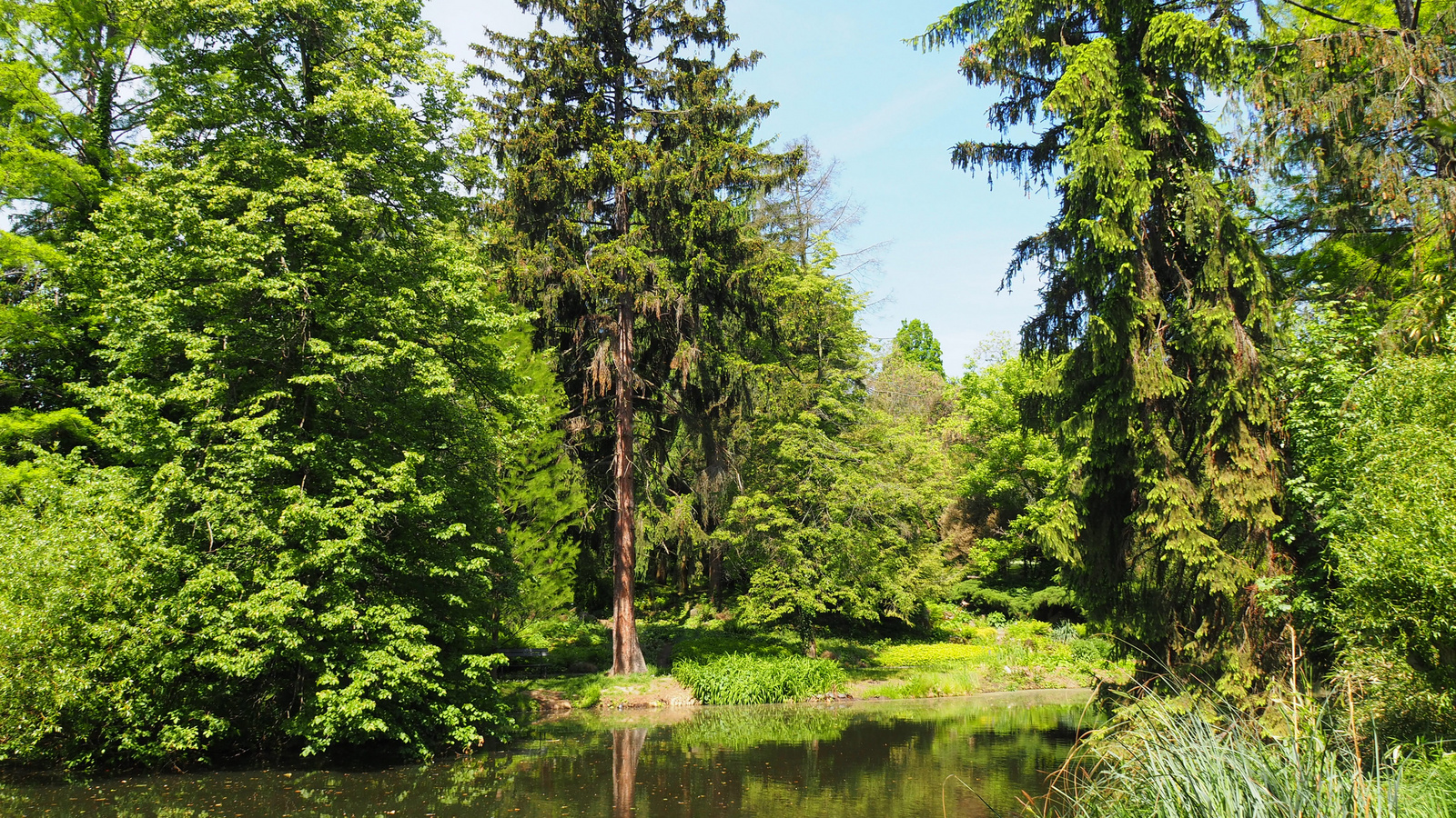 Pozsony, Botanikus kert, SzG3