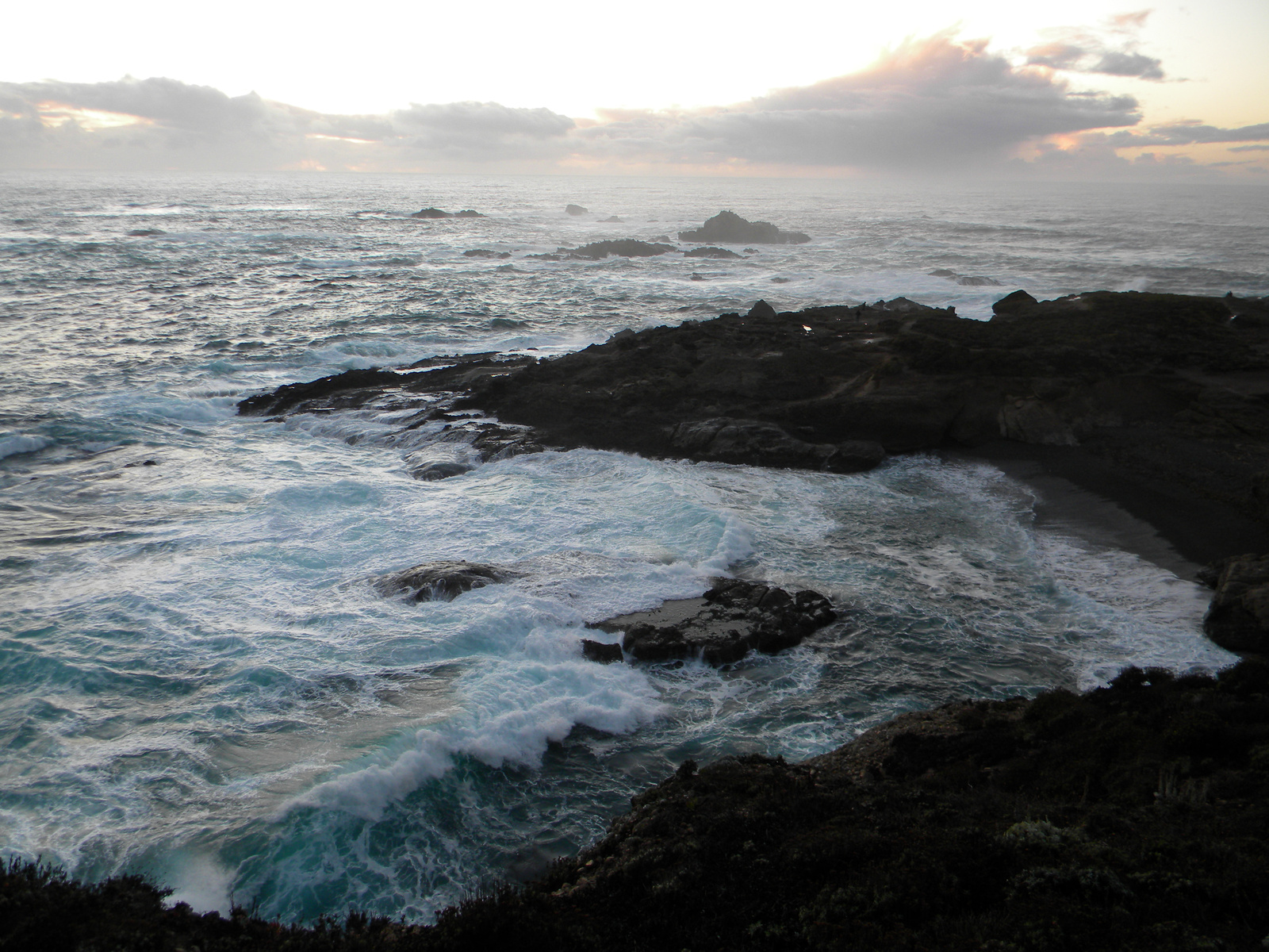 DSCN3615-point lobos