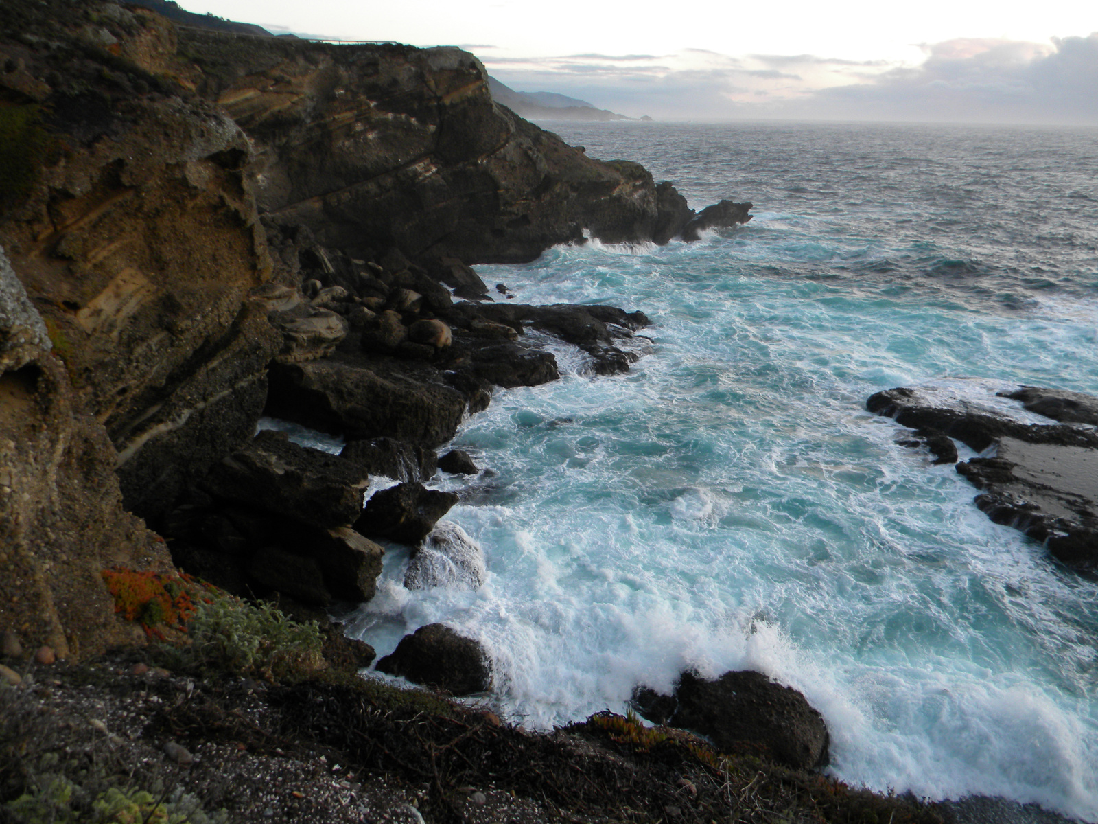 DSCN3617-point lobos