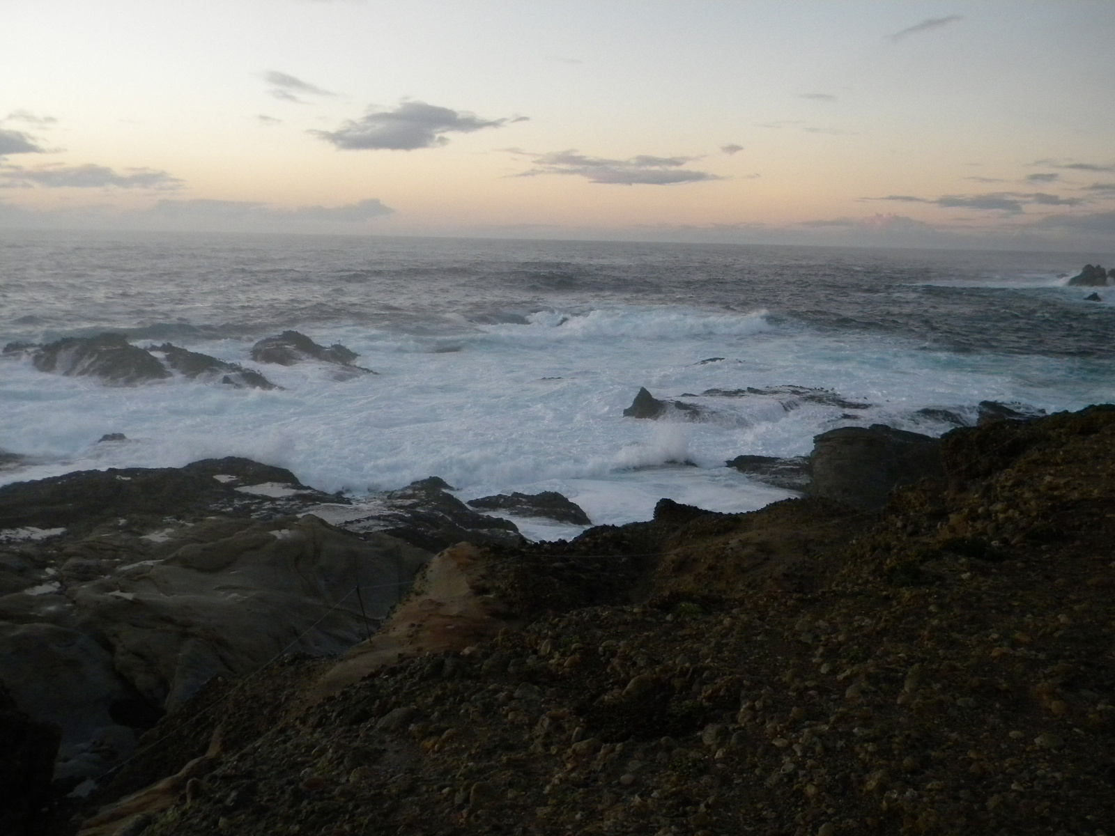 DSCN3619-point lobos