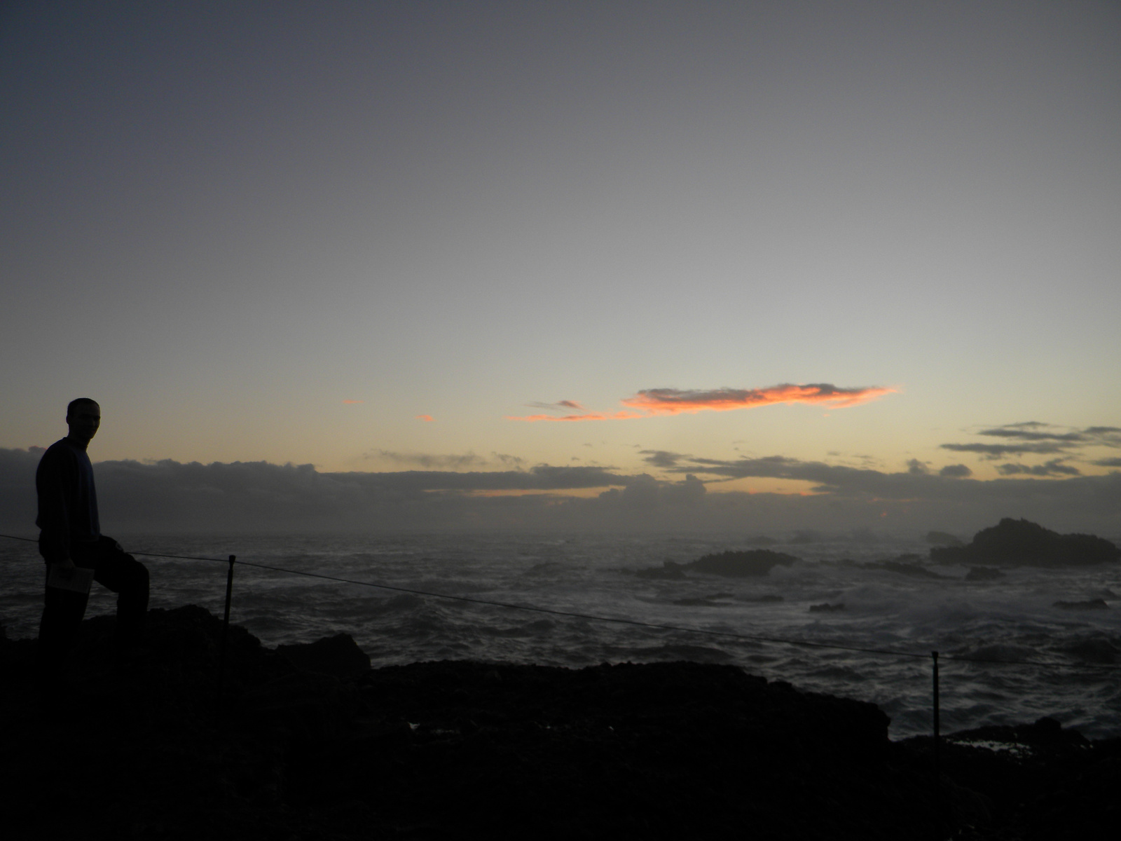 DSCN3622-point lobos