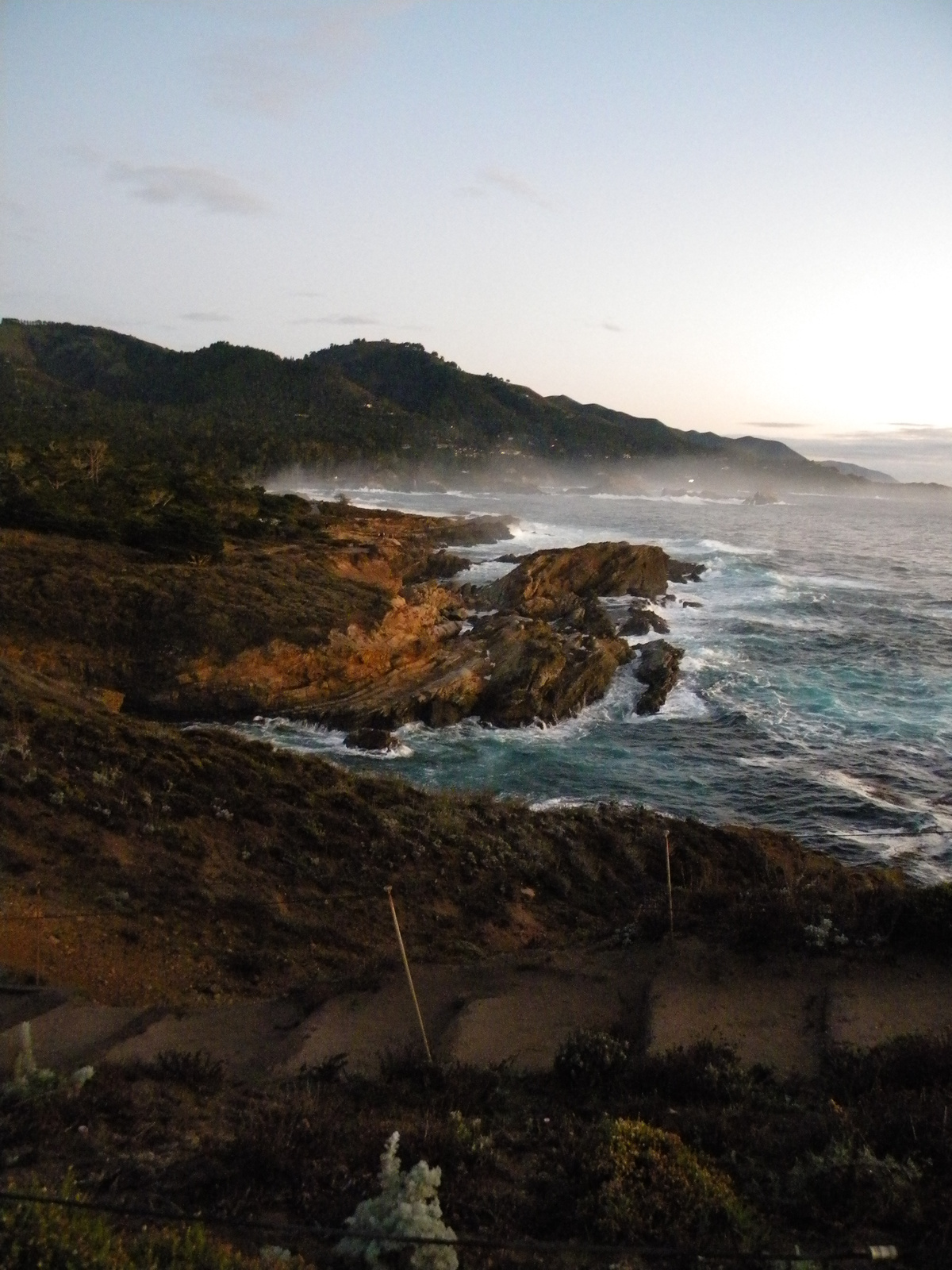 DSCN3626-point lobos