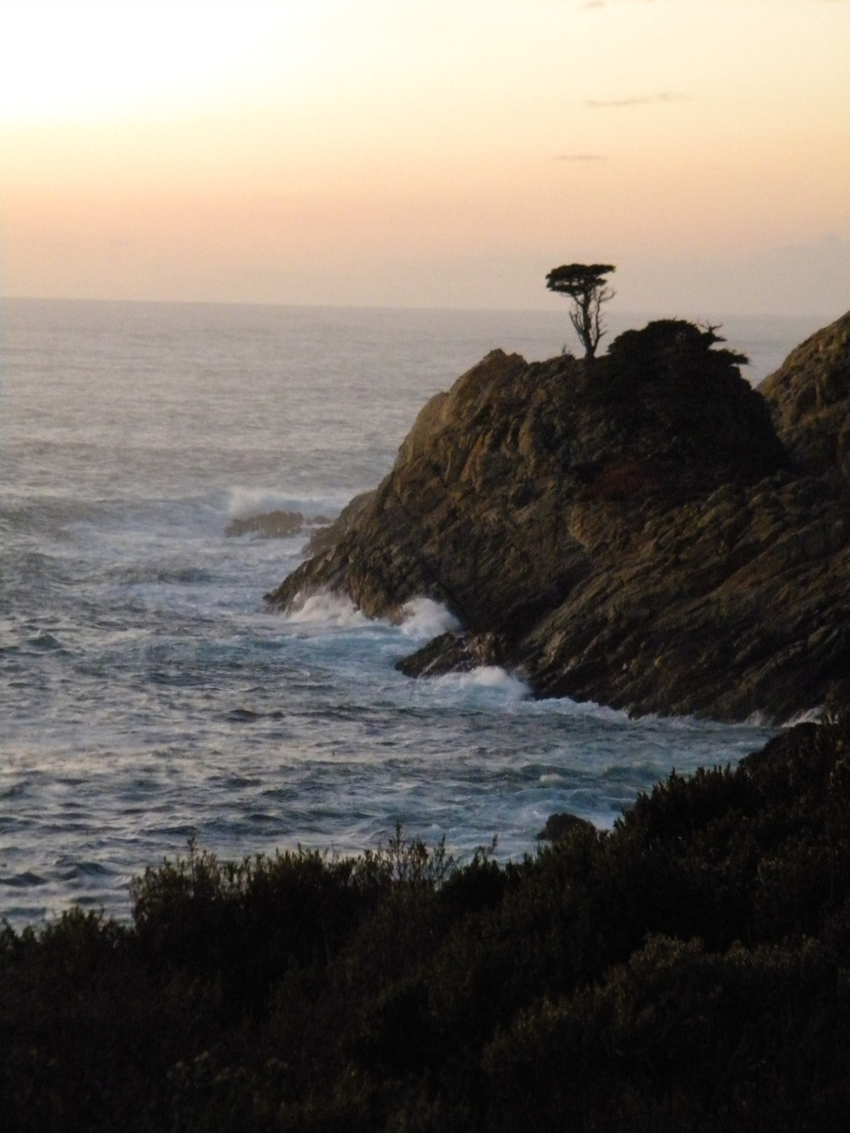 DSCN3628-point lobos