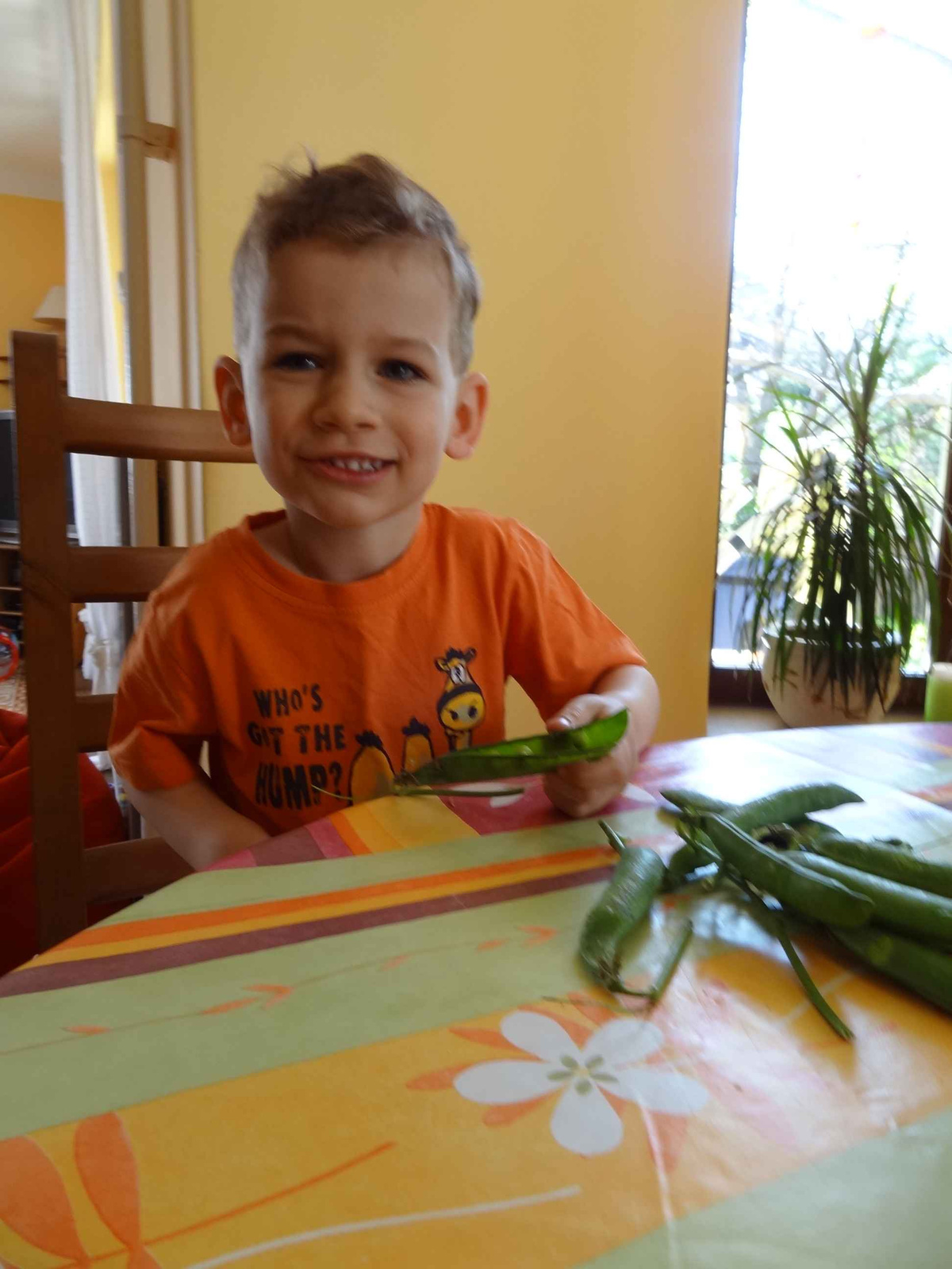 Leugrana fél kiló is, csak megfájdul tőle a hasam