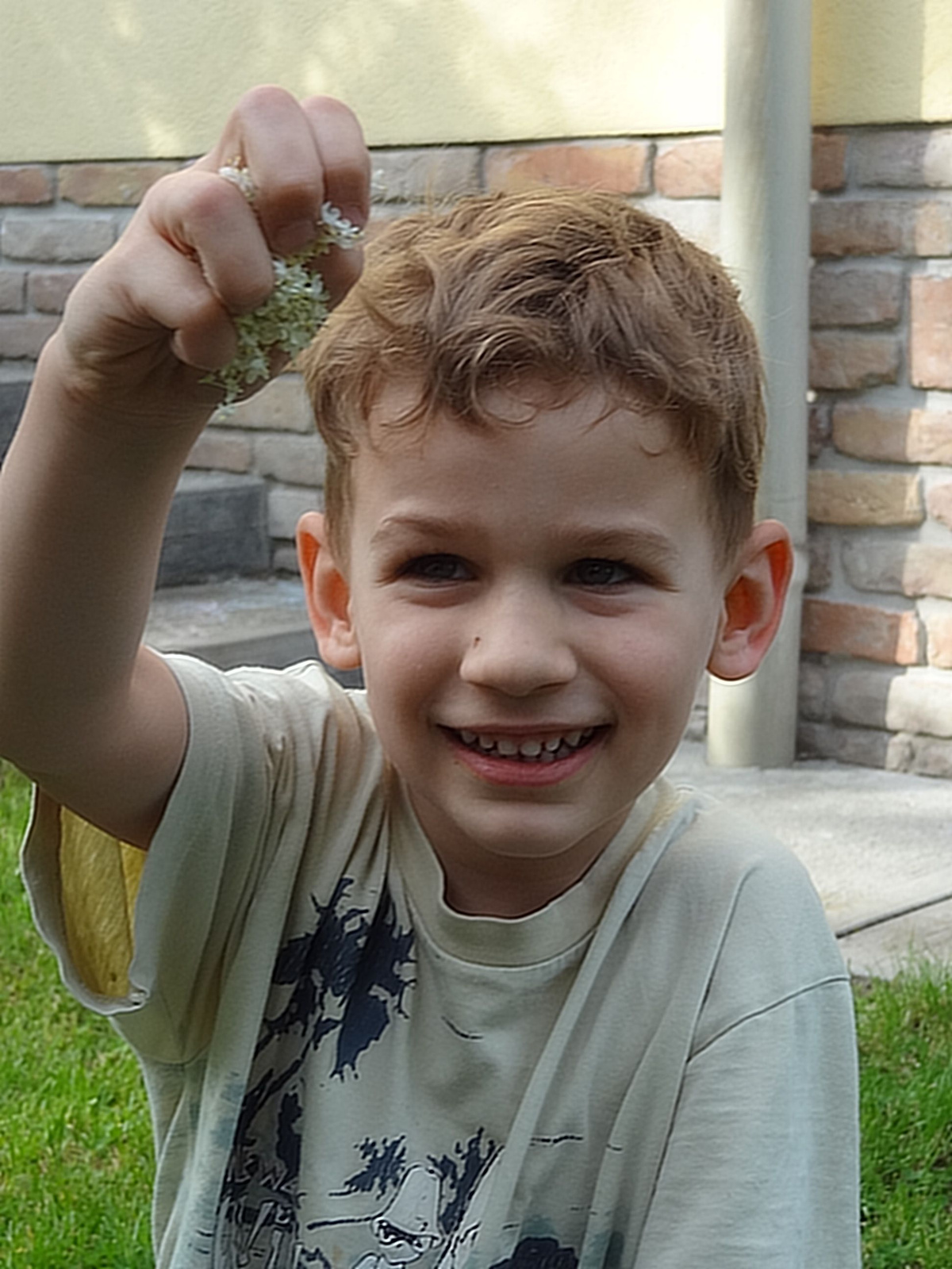 A borsó héja a bodzával