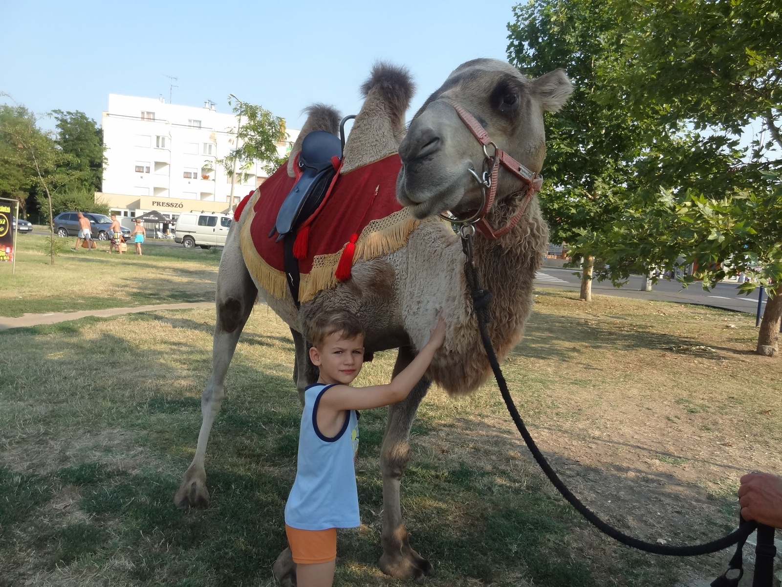 Köszi a fuvart, öreg! Legközelebb talizunk!