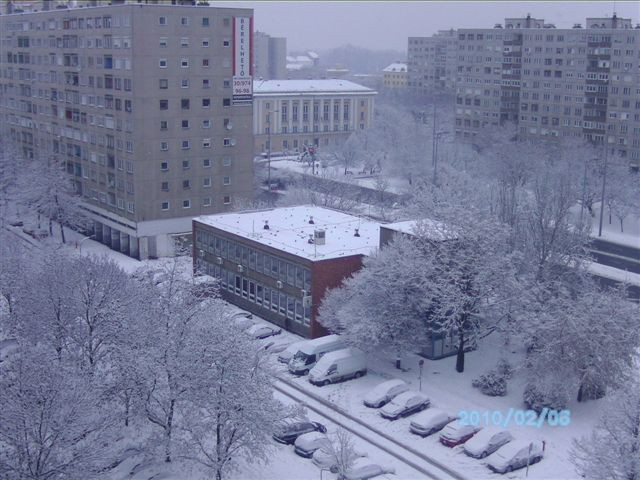 2010. február DOROGHÁZA 283