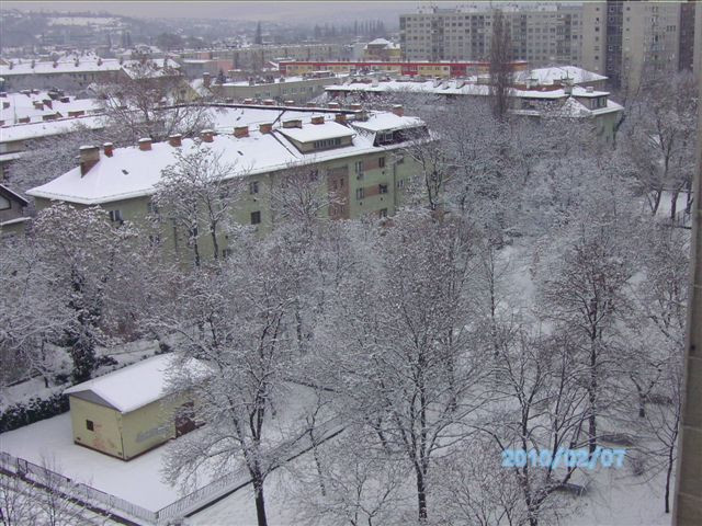 2010. február DOROGHÁZA 294