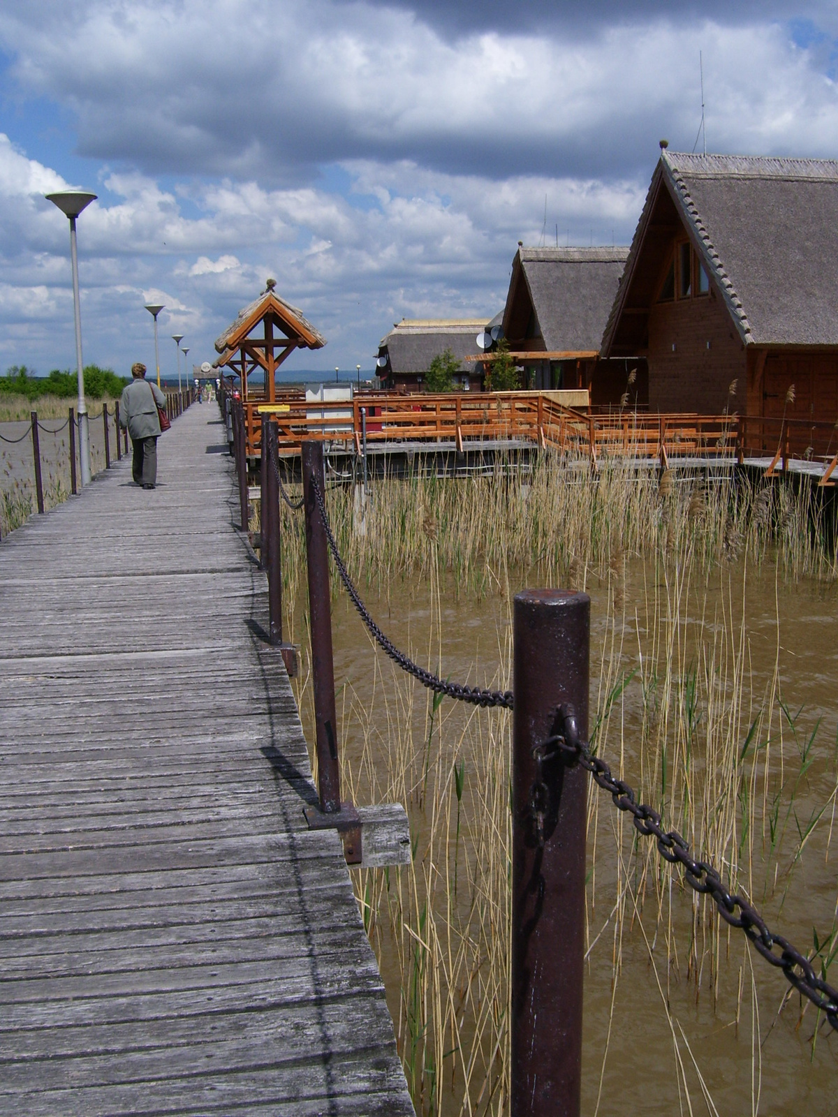 Houses of lake