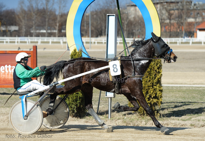 2012. évi Segédhajtó Kupa Hendikep II. futam