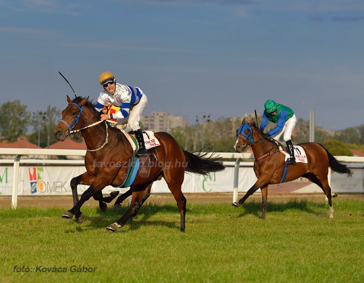 MAGYAR ST. LEGER Listed (HUN)