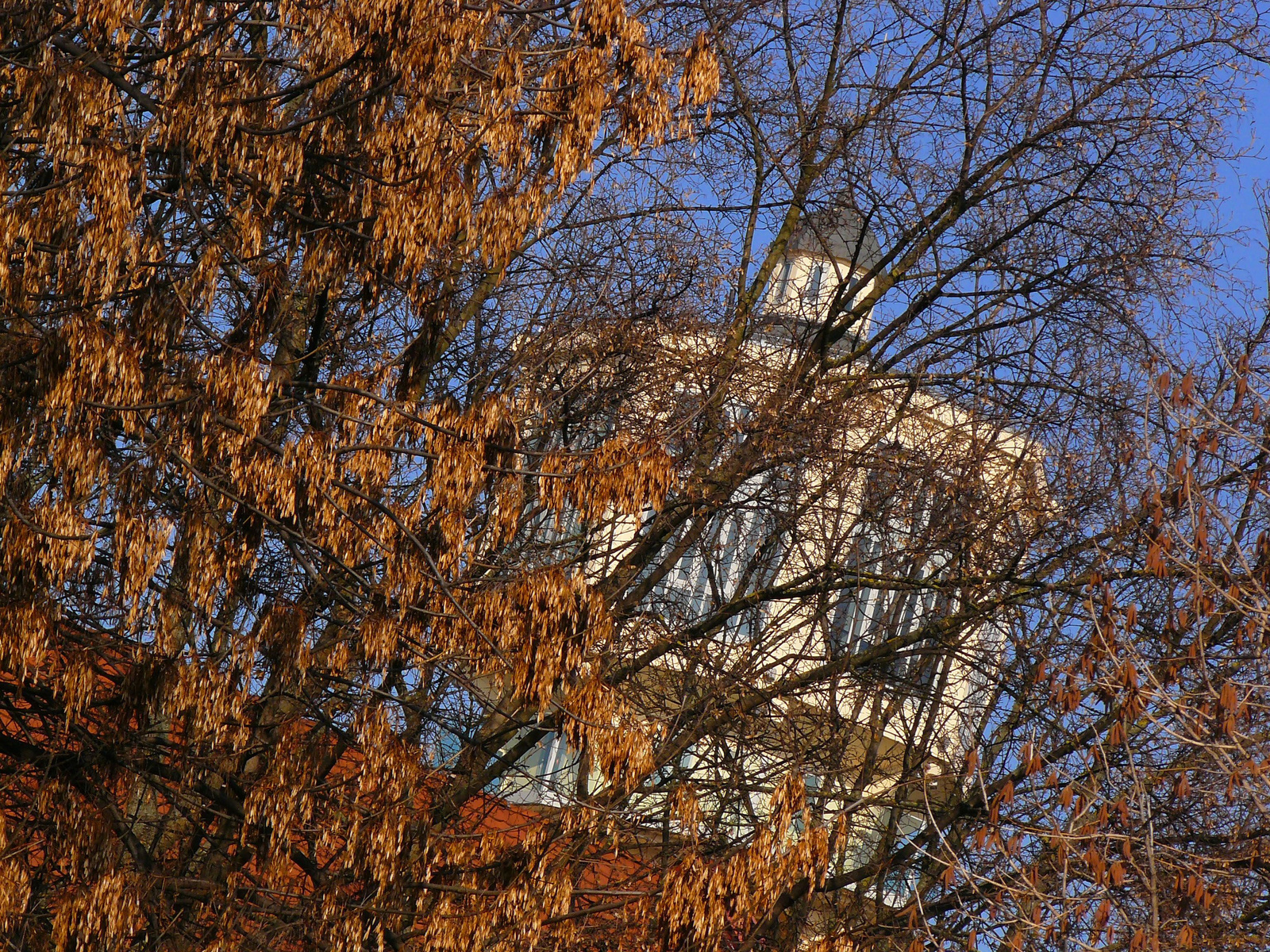 Siófok, 2012-1-27