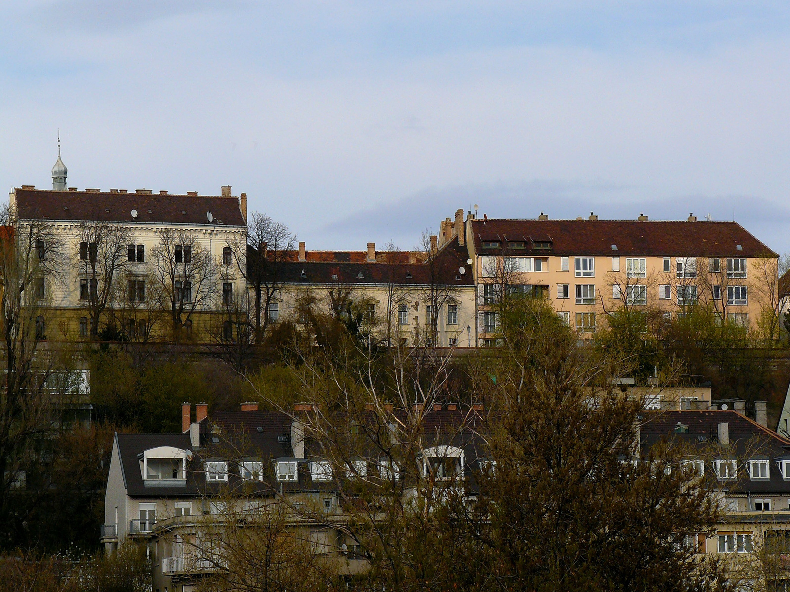 Vérmezőről a Vár déli "lejtője", 2012.március