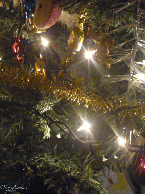 Tannenbaum♥