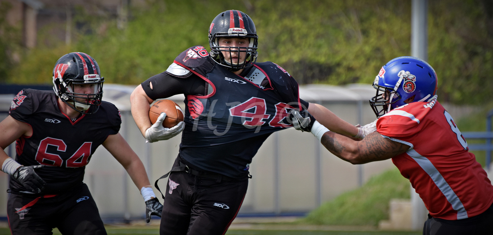 Budapest Wolves vs Miskolc Steelers