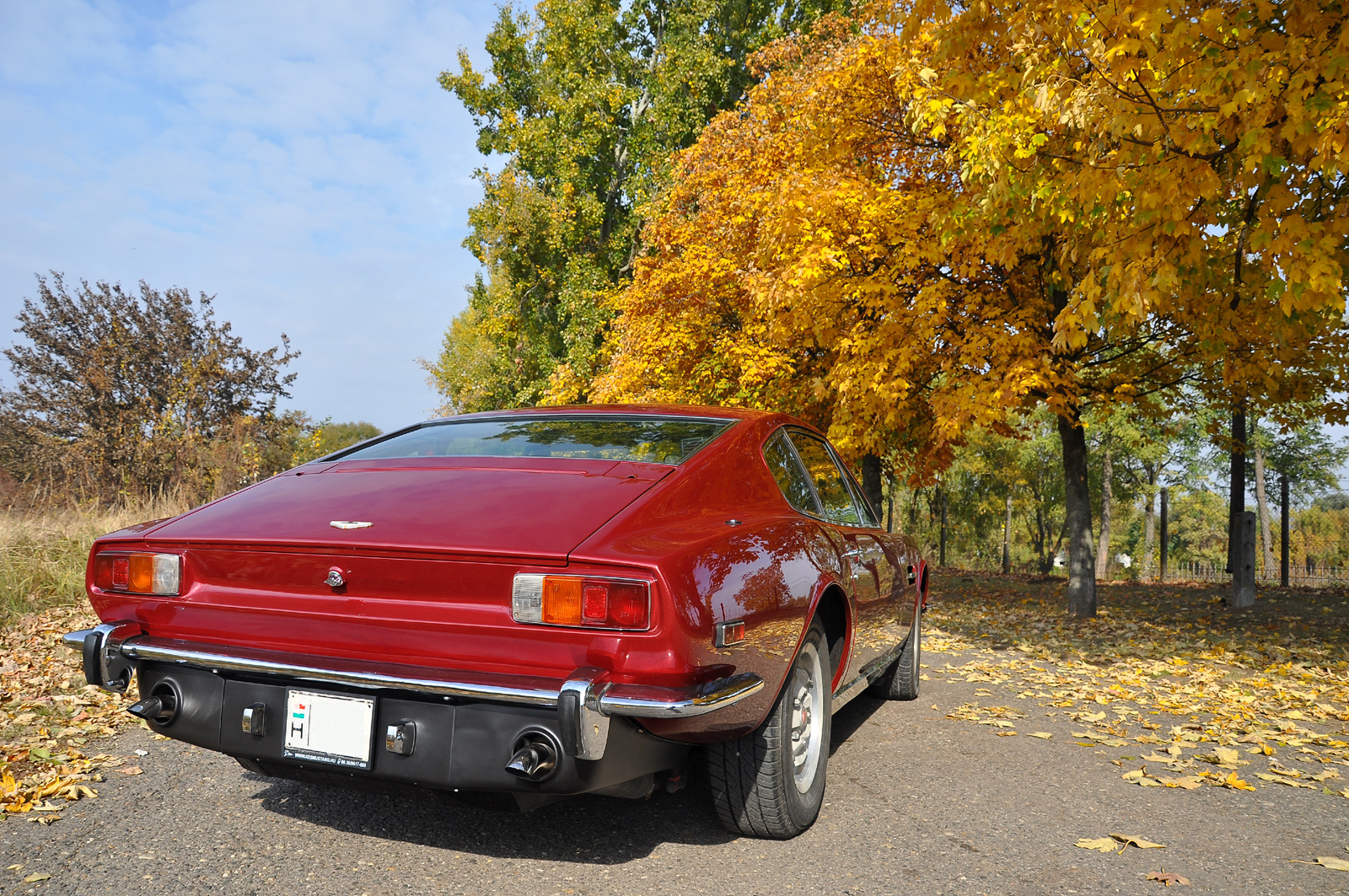 Aston Martin V8