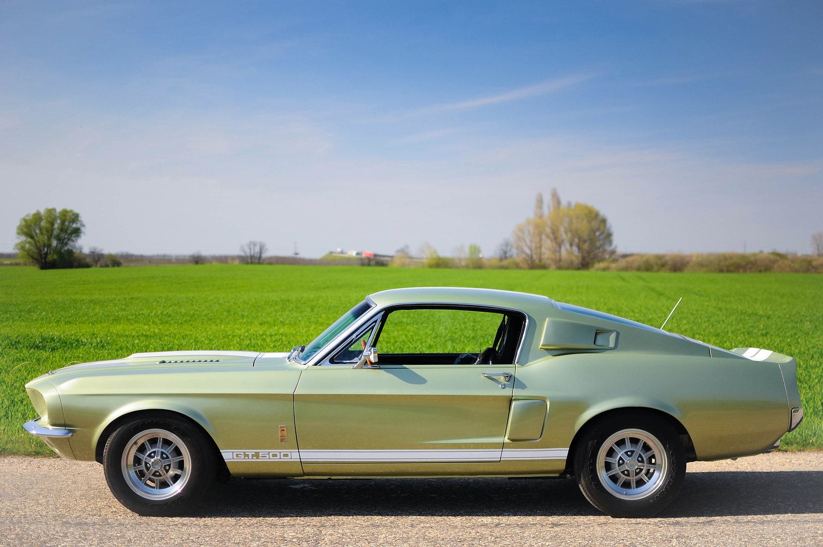 Shelby GT500 1967