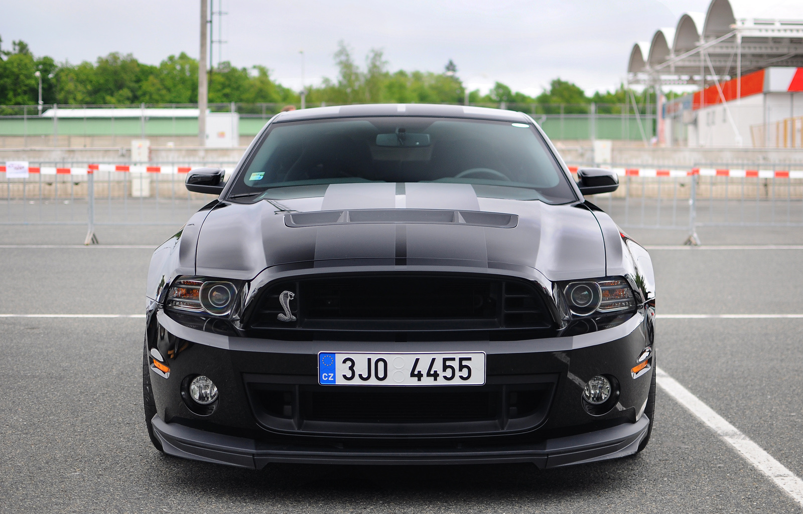 Shelby GT500 2013