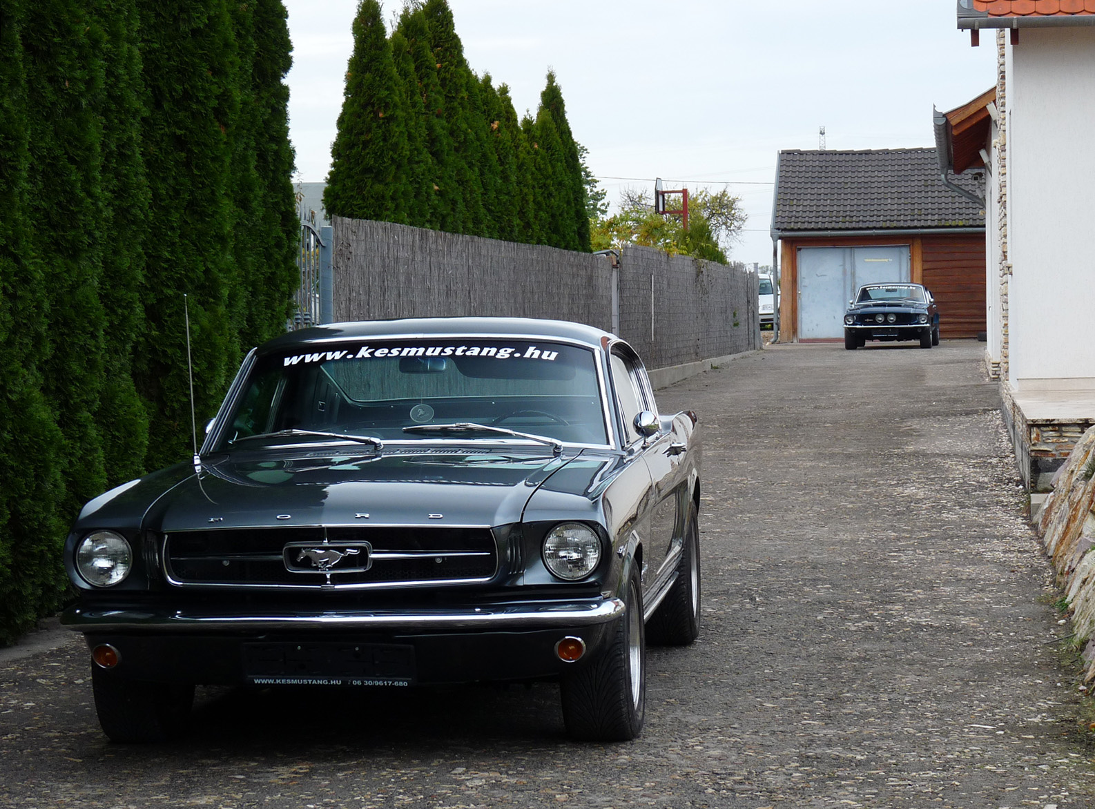 Ford Mustang Fastback - Shelby GT350