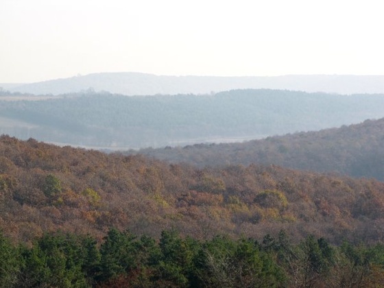 boncsok-gödöllői panoráma