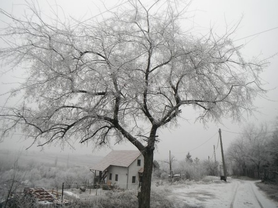 margita dűlő havasfa