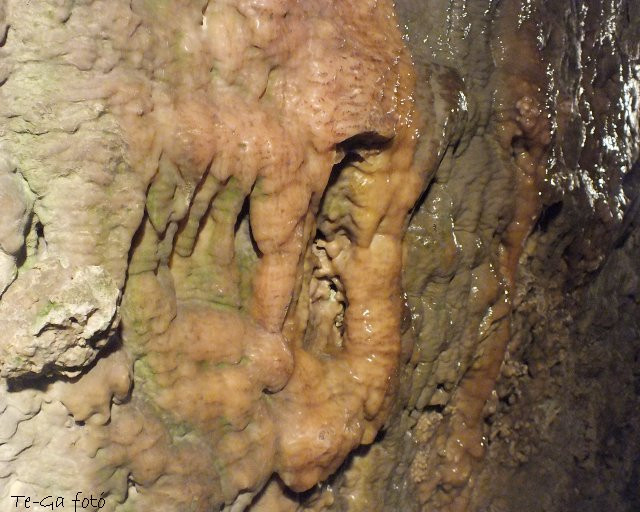 pálvölgyi barlang 24