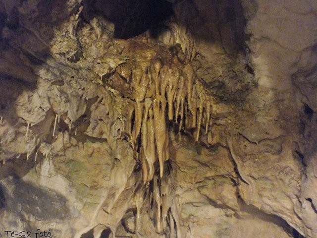 pálvölgyi barlang 29