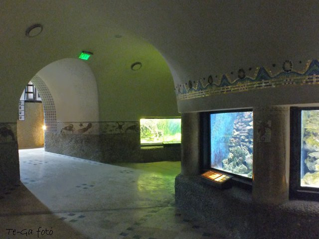 ák-akvárium