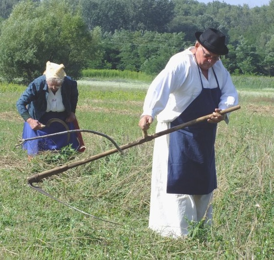 lendül a kasza-sarló