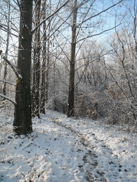 havas ösvény1