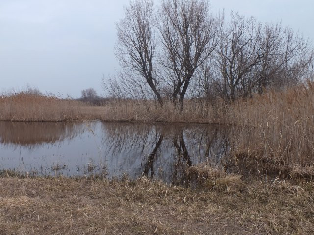 Tura legelő-tó1