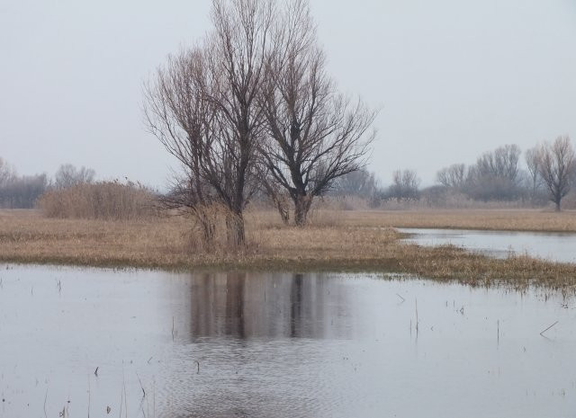 Tura legelő -tó2