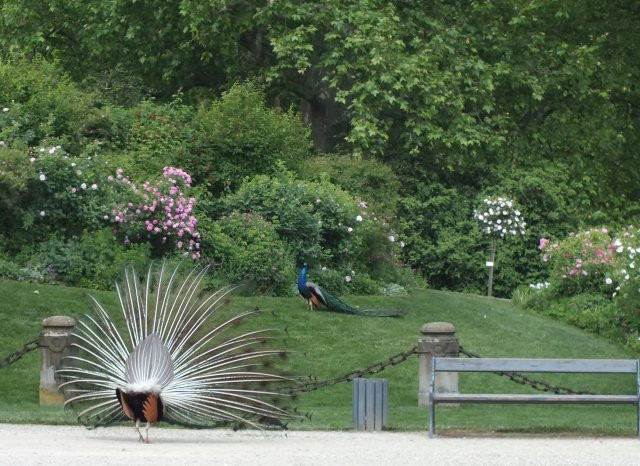 Graz-Eggenberg - kastélypark6