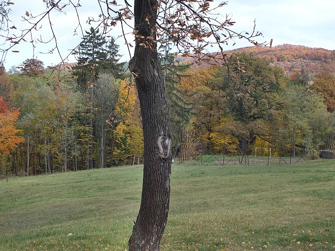 Szilvásvárad - kastélypark-ősz