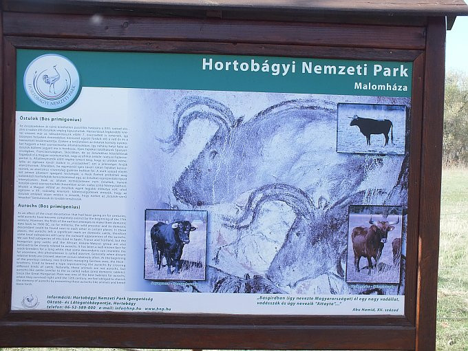 Hortobágy - szafari - őstuloktábla