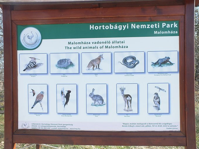 Hortobágy - szafari - vadonélő-tábl