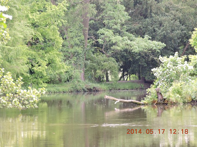 Lednice-Lichtenstein kastély - park6